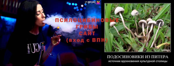 гидра Алзамай