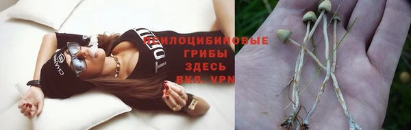 винт Алексеевка