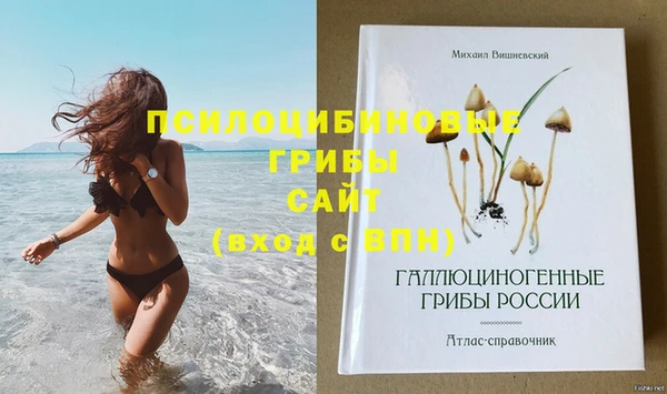 винт Алексеевка